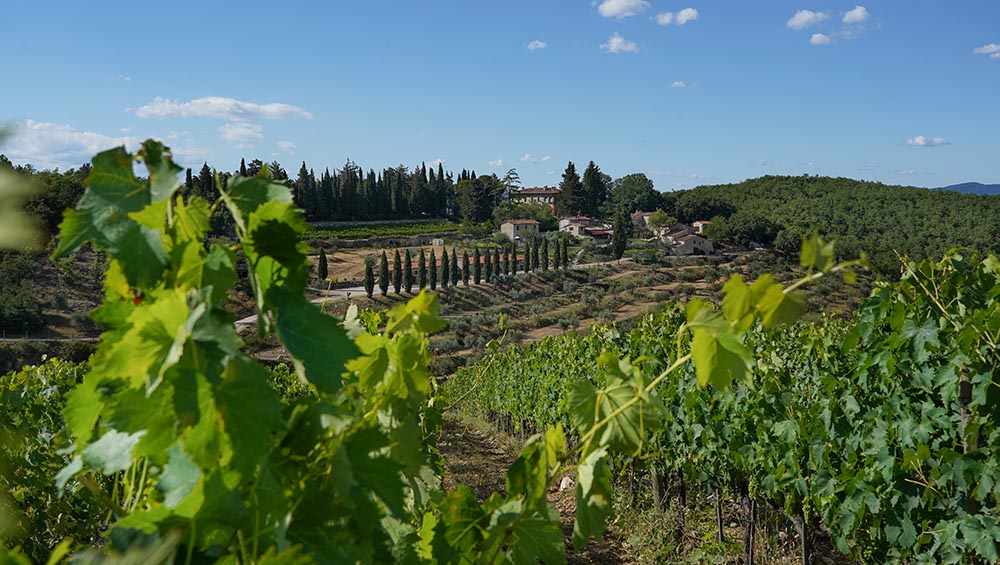 Das Weingut und seine einmalig schöne Lage. Fotos: Azienda Agricola Bio Querceto di Castellina