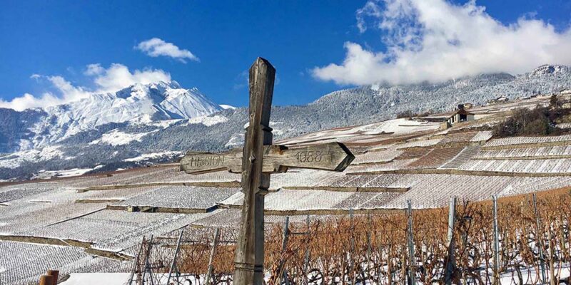 Schweizer Weine – versteckter Schatz im Herzen der Alpen. Foto: Swiss Wine