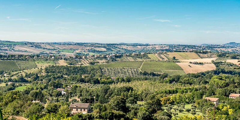 Tenuta La Floriana – Weine aus Macerata seit 1626. Foto: La Floriana/Boccadigabbia