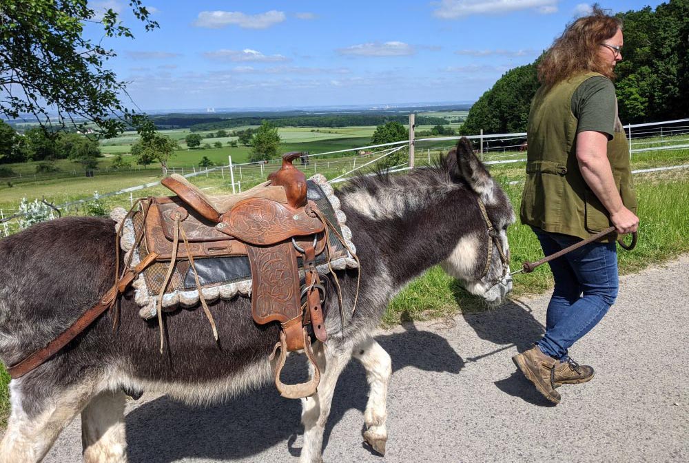 Esel Willi. Foto: Carola Faber