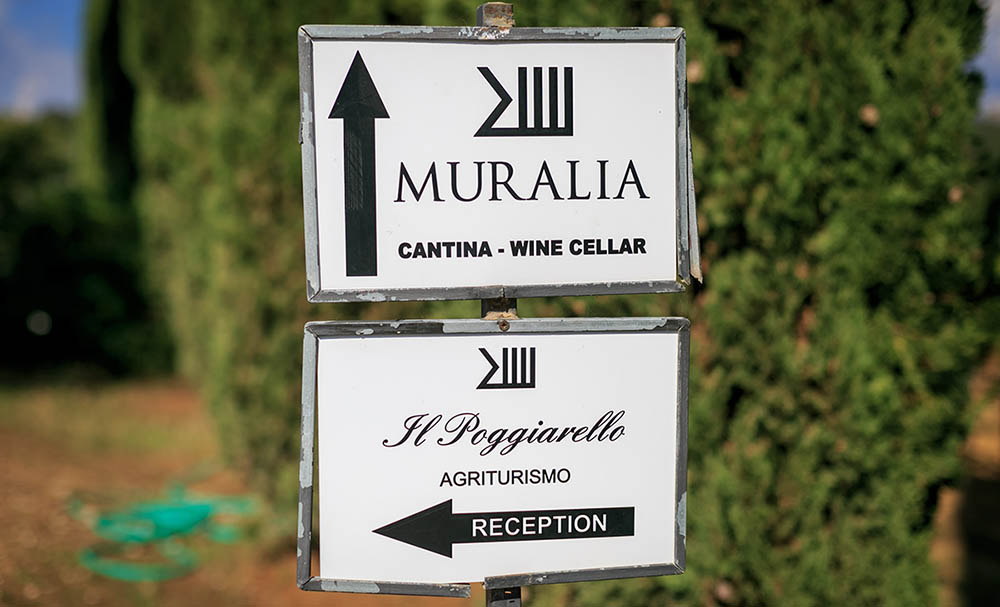 Wegweiser mit dem Muralia-Logo, der Hand. Foto: Muralia