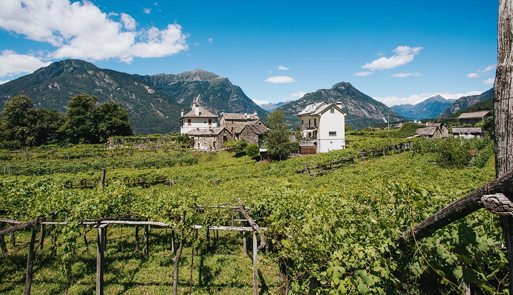 Im äußersten Norden der italienischen Region Piemont, hart an der Grenze zum Schweizer Kanton Wallis. Foto: Cantine Garrone