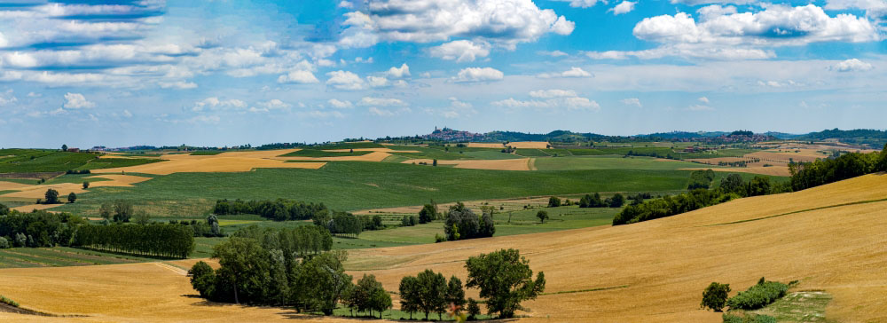Panorama Monferrato. Fotos: Associazione Produttori del Ruchè di Castagnole Monferrato DOCG