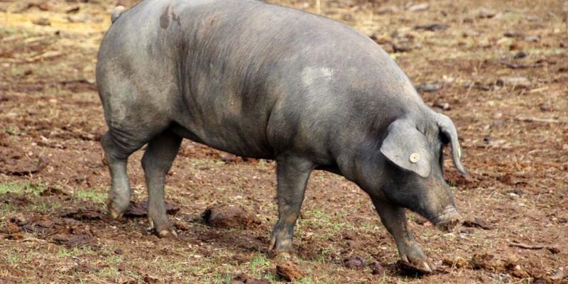 Foto: Ellen Spielmann