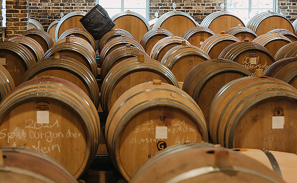 Weine aus Deutschlands größtem Weinanbaugebiet. Foto: Sven Hasselbach/Rheinhessenwein e.V.