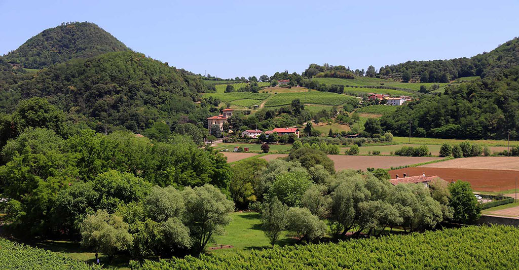 Die typische Hügellandschaft in der Region. Foto: Jürgen Sorges