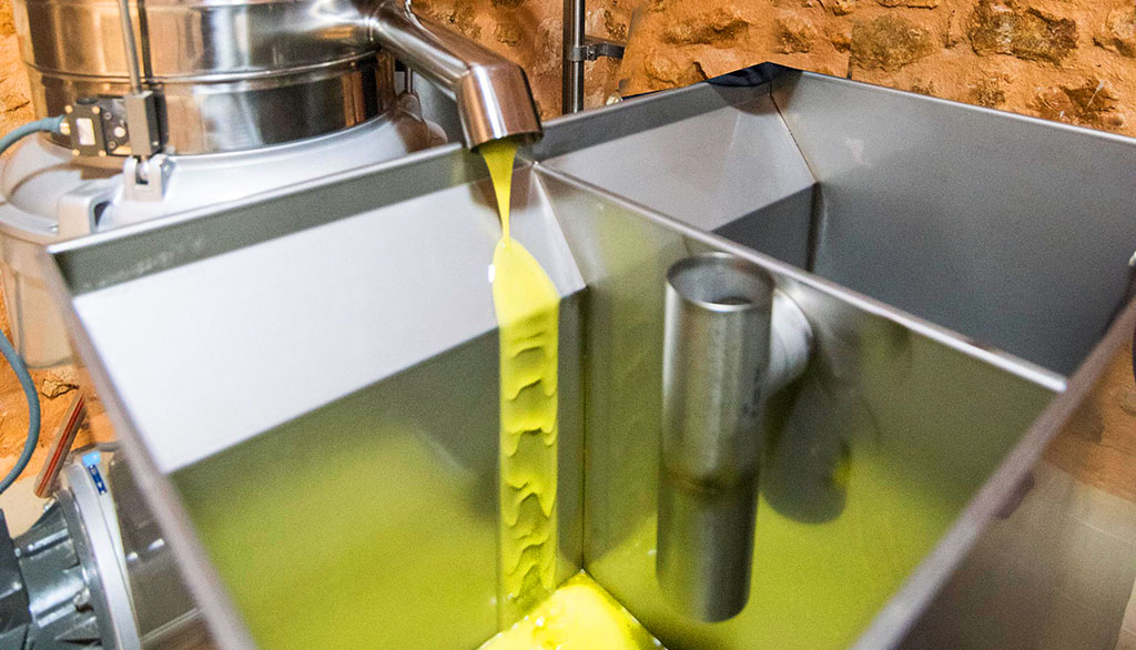 8,5 Kilogramm Oliven werden für einen Liter Olivenöl benötigt. Foto: Aubocassa