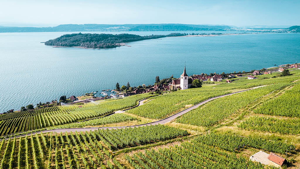 Weinanbau am Bielersee. Im See: die St. Peterinsel. Foto: Switzerland Tourism