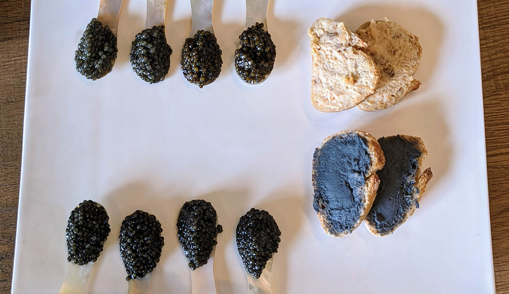 Die Domaine de Neuvic produziert jährlich sechs Tonnen Biokaviar. Foto: Carola Faber