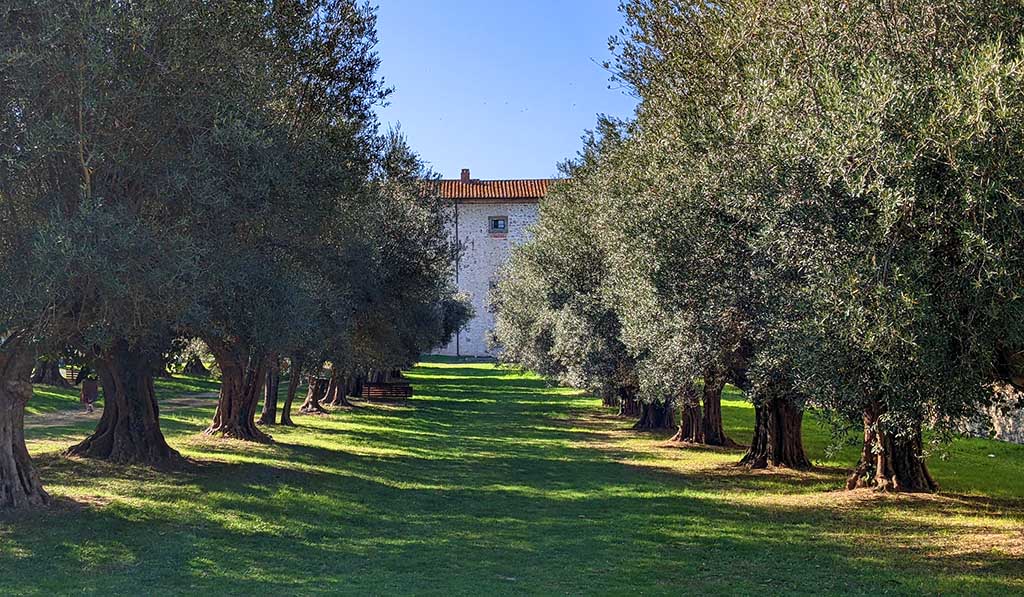 Garten des Palazzo della Corgna. Foto: Carola Faber