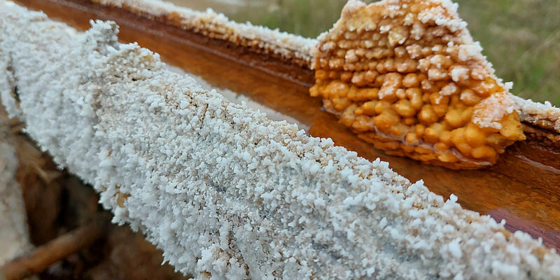 Foto: Michael Schabacker