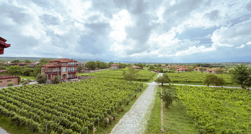 Ausblick auf Weinberge und Region. Foto: Schuchmann Wines Château