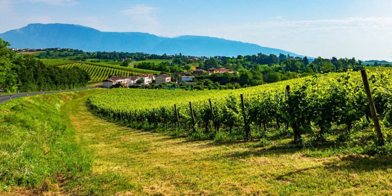 Foto: Ellen Spielmann