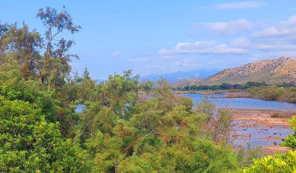 Im Parc natural de s’Albufera. Foto: Michael Schabacker