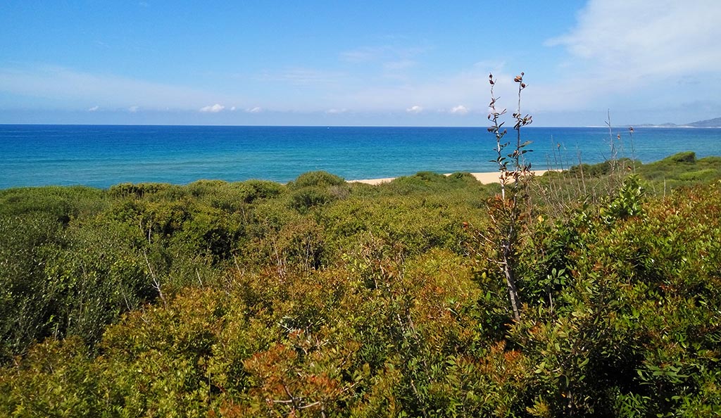 Die wunderschöne Landschaft auf der Peloponnes. Foto: Michael Schabacker