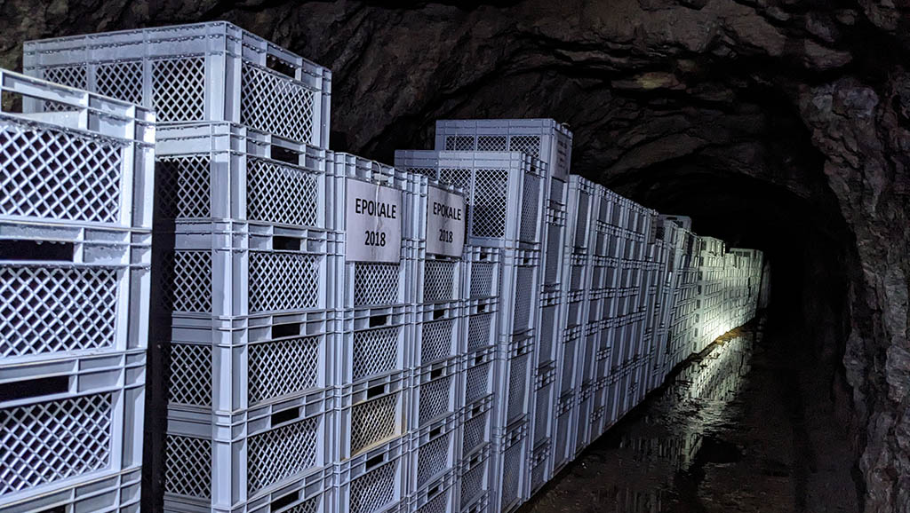 Lagerung im Stollen bei 11 Grad Celsius. Foto: Carola Faber