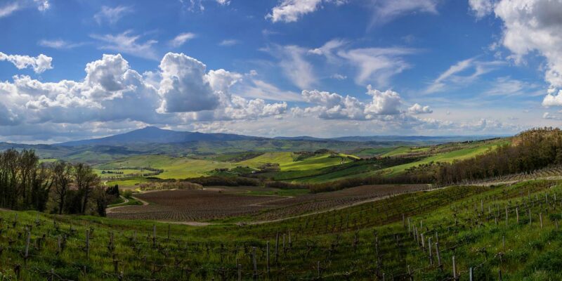 Foto: Tenuta di Trinoro