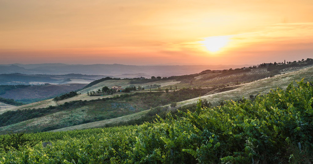 In der Provinz Siena der Region Toskana. Foto: Tenuta di Trinoro