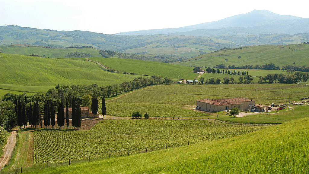 Tenuta di Trinoro. Foto: Tenuta di Trinoro