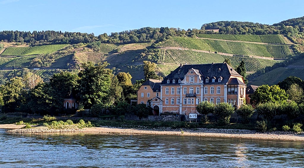 Fahrt entlang des Rheins... Foto: Carola Faber