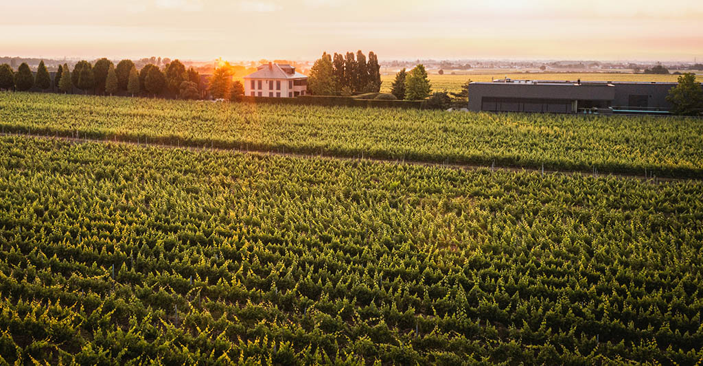 Das Gut in den Weinbergen. Foto: Markus Schneider