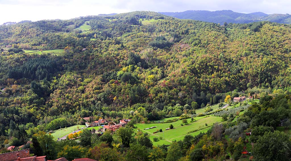 Panoramablick auf die Bergwelt. Foto: Ellen Spielmann