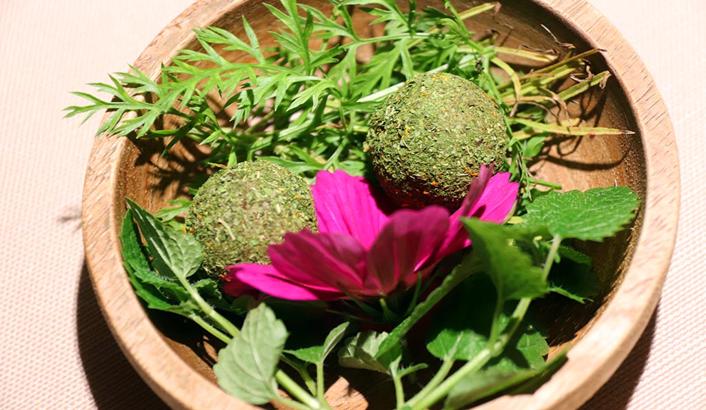 Farbenfrohe Kulinarik im Restaurant Mater. Foto: Ellen Spielmann