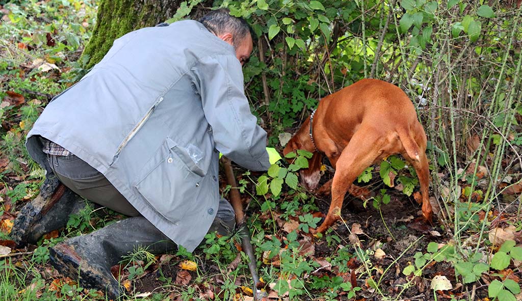 Auf der Jagd mit Guiseppe und Zara. Foto: Ellen Spielmann