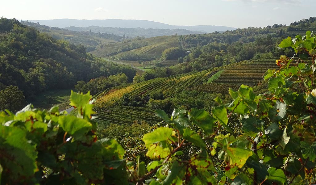 Region des Vipava-Tals. Foto: Carola Faber