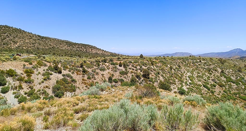 Zwar recht grün – aber auch sehr heiß: die Mojave-Wüste. Foto: Michael Schabacker