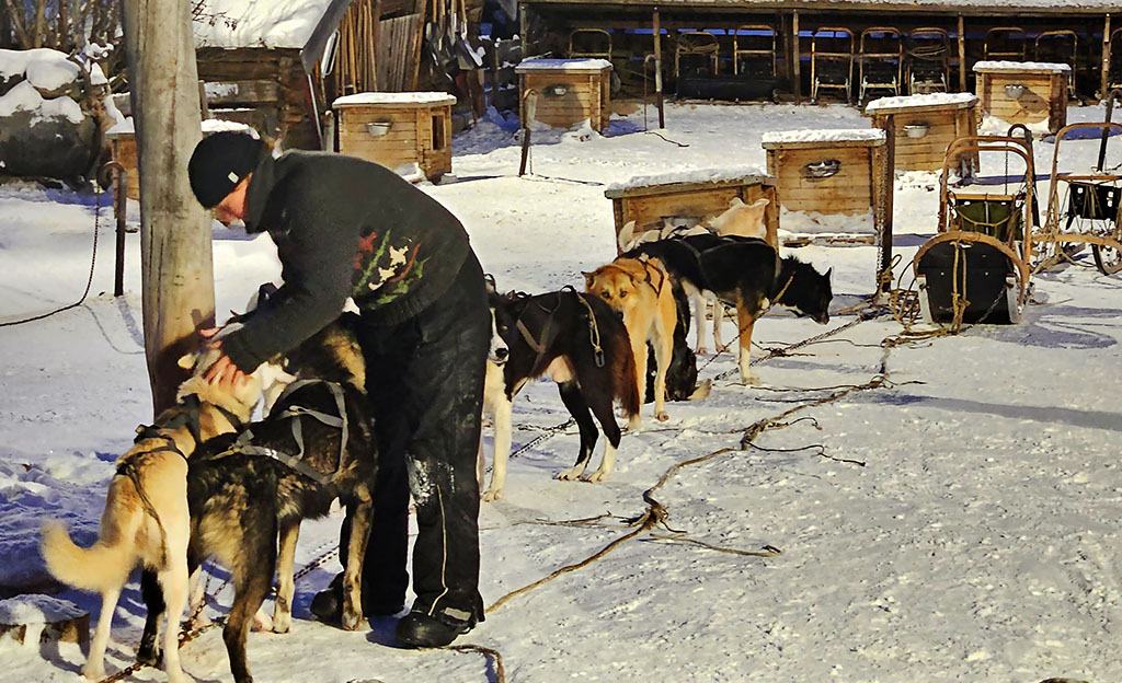 Hundeschlitten in der Finnmark. Foto: Ellen Spielmann