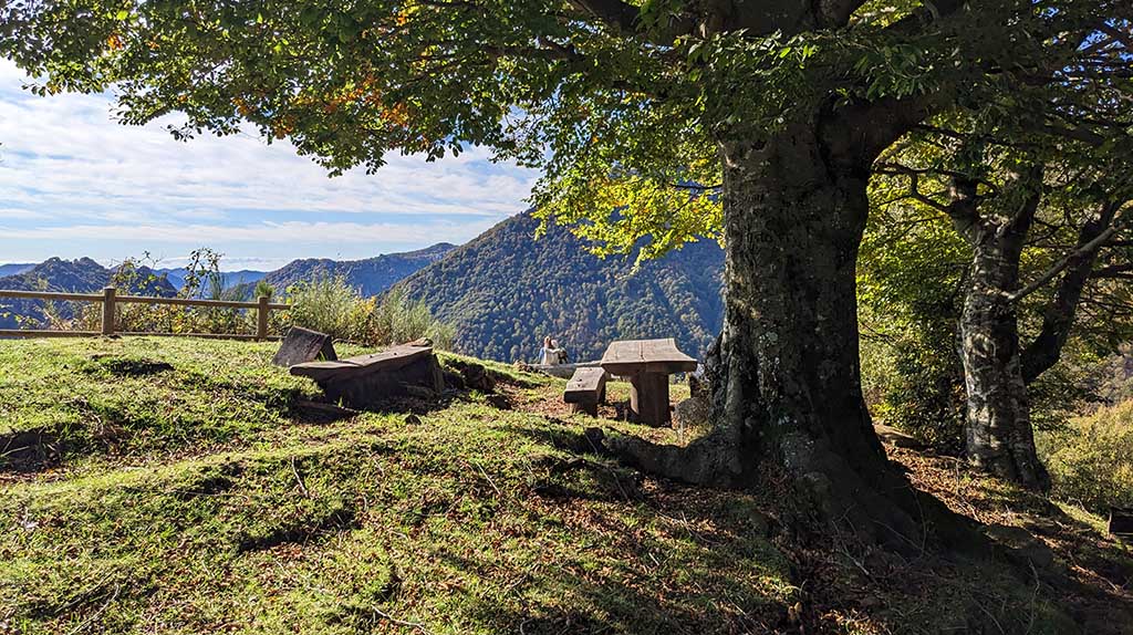 Rastplatz in der Natur. Foto: Carola Faber