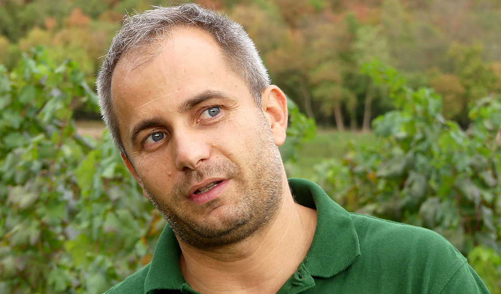 Matteo Inama: „Wir machen Soave!“. Foto: Carola Faber
