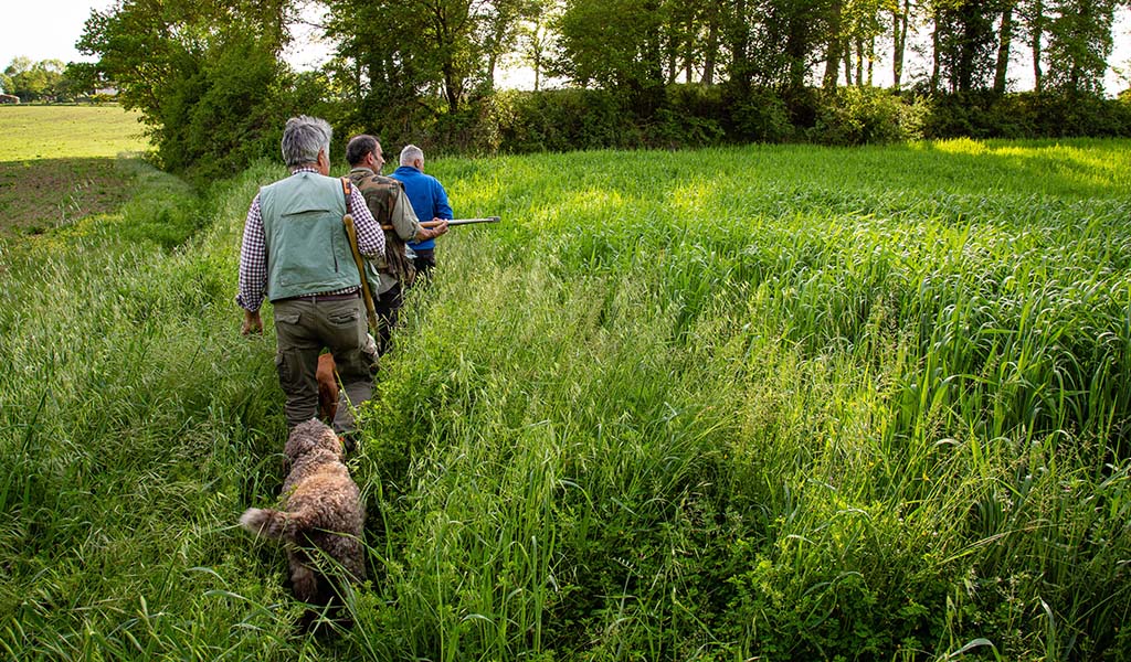 Auf Trüffeljagd... Foto: Tenuta Schifanoia