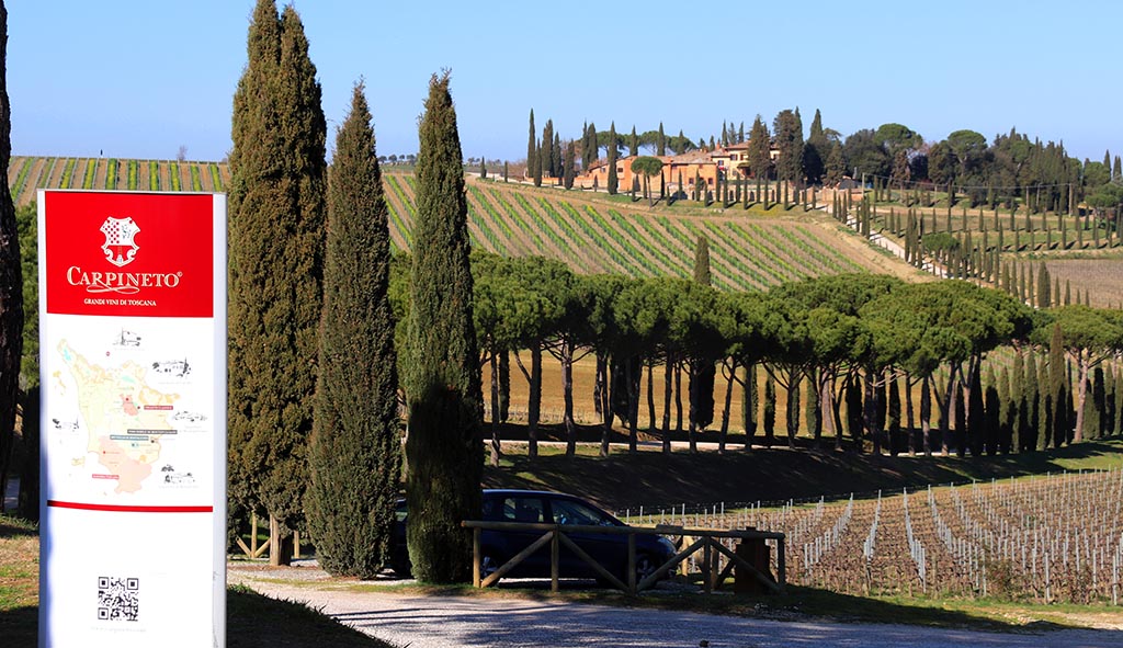 Einfahrt zum Weingut. Foto: Jürgen Sorges