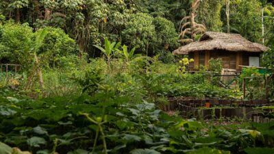 Foto: The Datai Langkawi