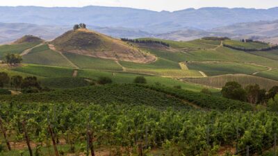 Foto: Tasca d'Almerita - Tenuta Regaleali