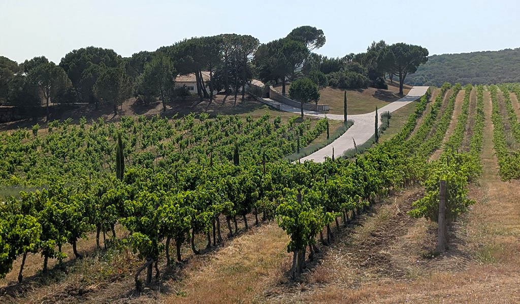 Languedoc – Weinland mit atemberaubenden Landschaften. Foto: Carola Faber