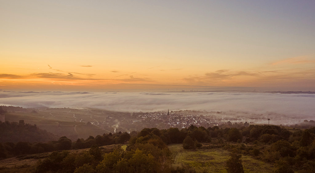 Aussicht auf das Rheintal bis in die Pfalz. Foto: Wald.Weit