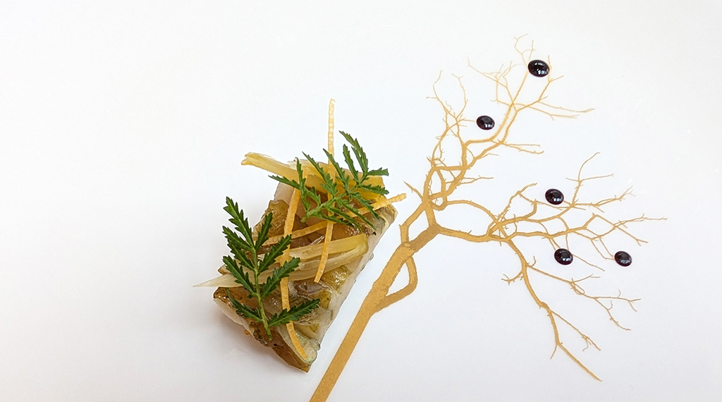 Adriatischer Steinbutt. Foto: Carola Faber