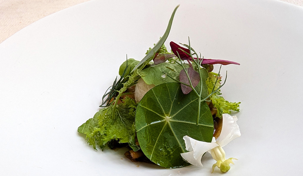 Sommerlicher Salat. Foto: Carola Faber