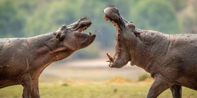 Foto: Jochen Hägele