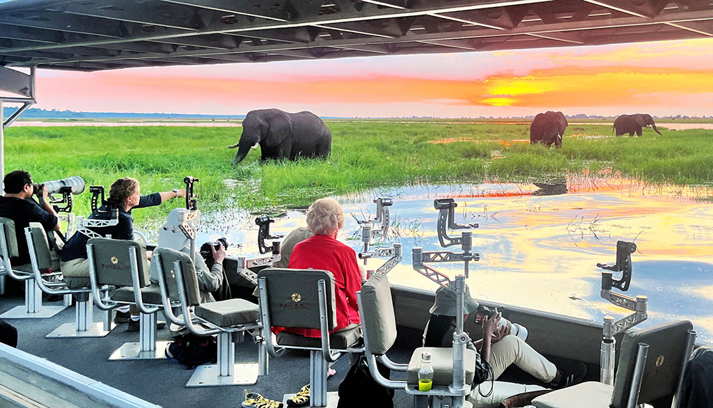 Fotosafari per Boot auf dem Chobe River. Foto: Jochen Hägele
