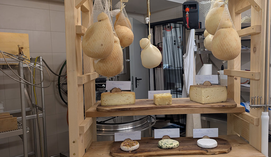 Käserei mit viel Fingerspitzengefühl und kreativen Ideen... Foto: Carola Faber