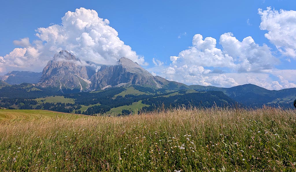 Panorama pur...Foto: Carola Faber