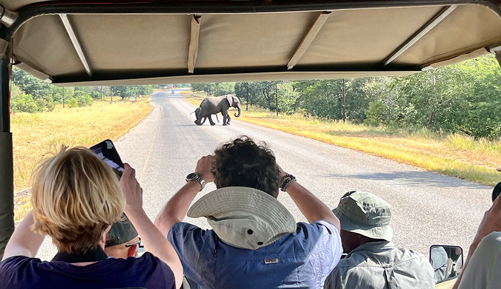 Unterwegs mit dem Jeep: Elefanten passieren die Straße. Foto: Jochen Hägele