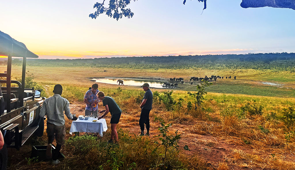 Kurze Rast mit Blick auf ein Wasserloch mit Elefanten. Foto: Jochen Hägele