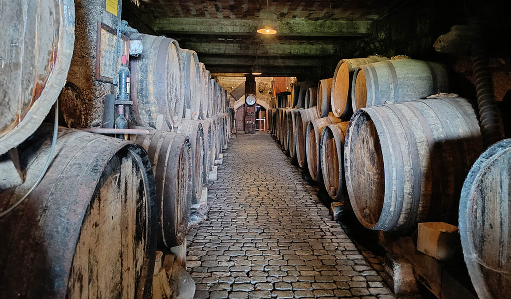 Alt und charakterstark: Fasskeller des Weinguts. Foto: Michael Schabacker