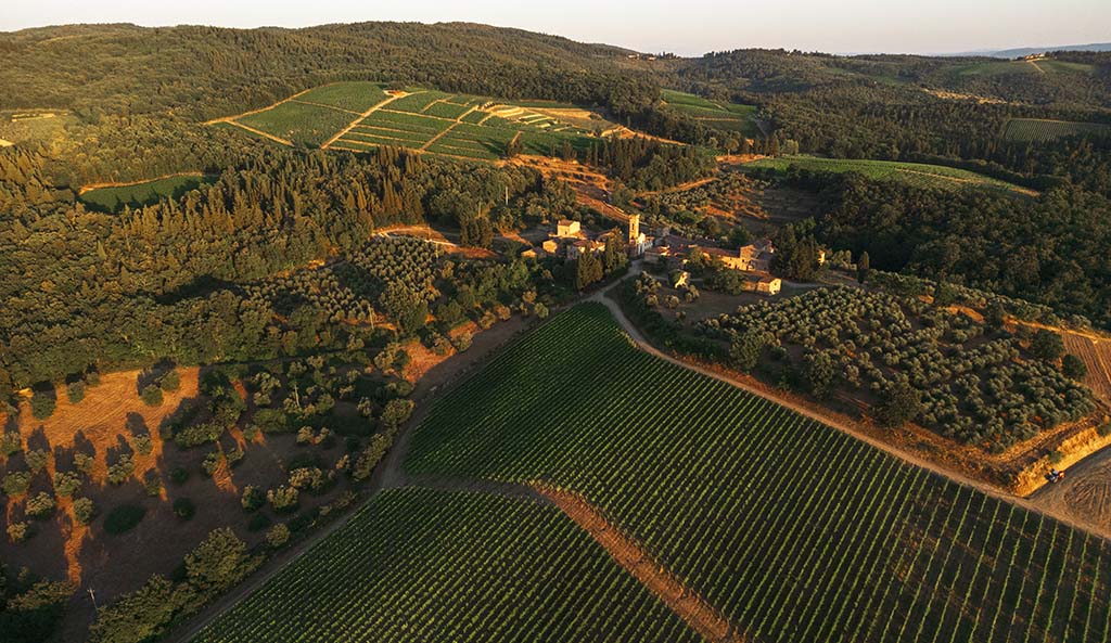 Weingut Isole e Olena. Foto: Isole e Olena