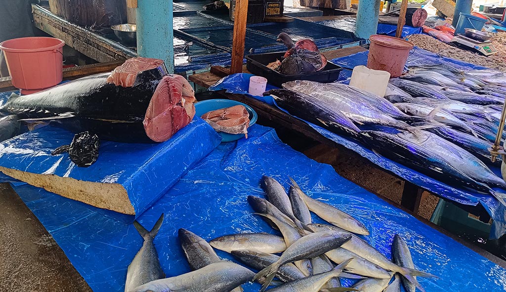 Auf dem Fischmarkt in Galle. Foto: Michael Schabacker